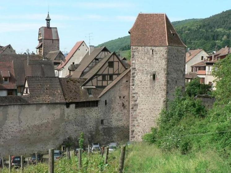 Bed and Breakfast Adrihof A Riquewihr, Cour De L'Abbaye D'Autrey Exterior foto
