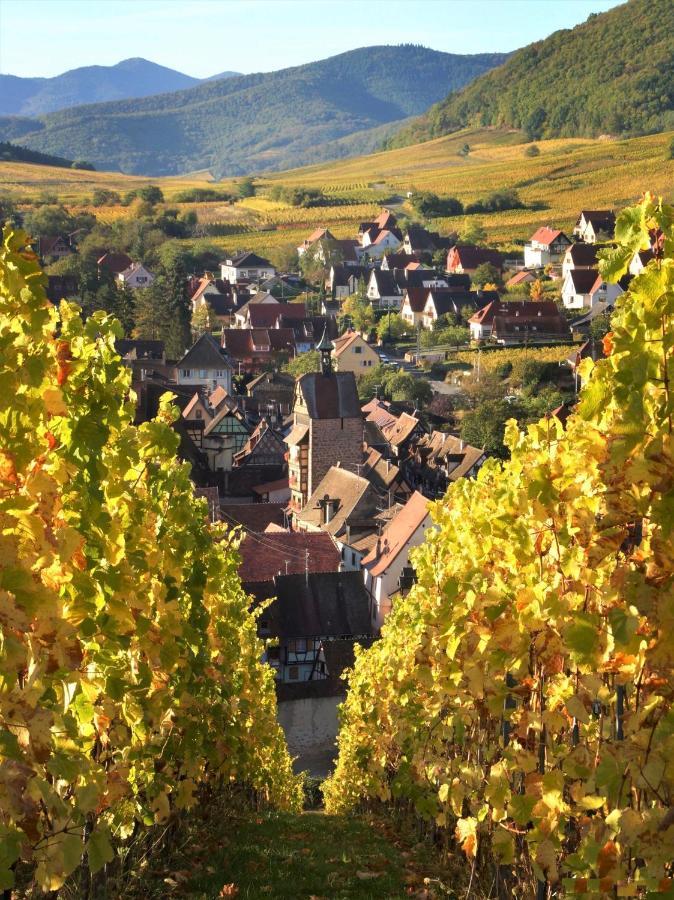 Bed and Breakfast Adrihof A Riquewihr, Cour De L'Abbaye D'Autrey Exterior foto